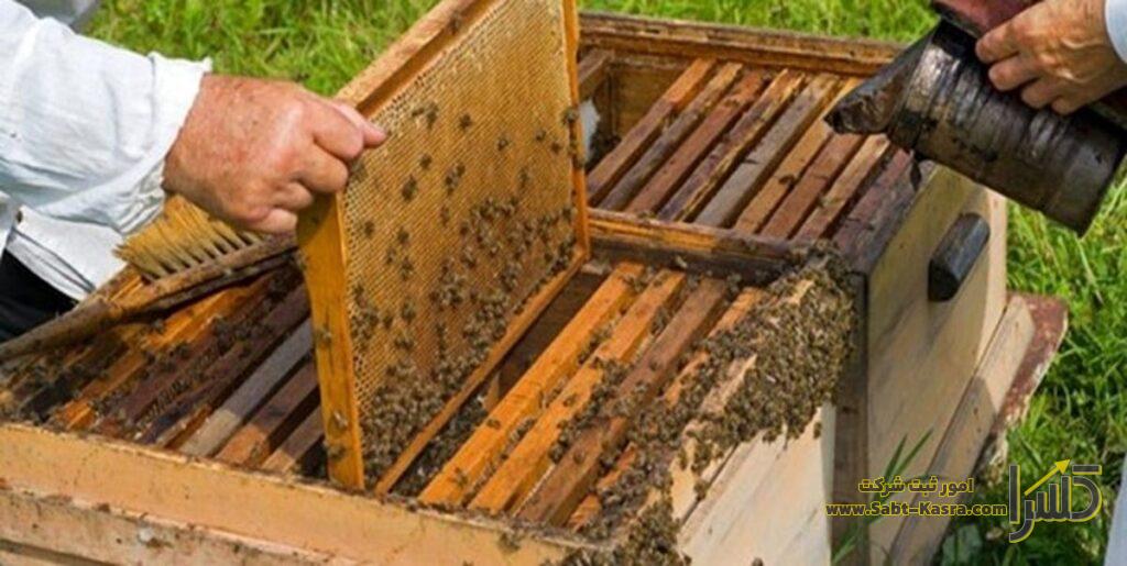 ثبت قانونی شرکت های زنبورداری